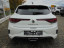 RENAULT Megane (405041785)