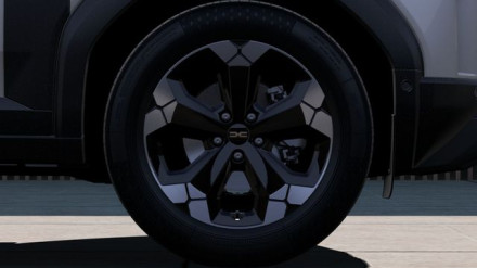 DACIA Duster (438384550)